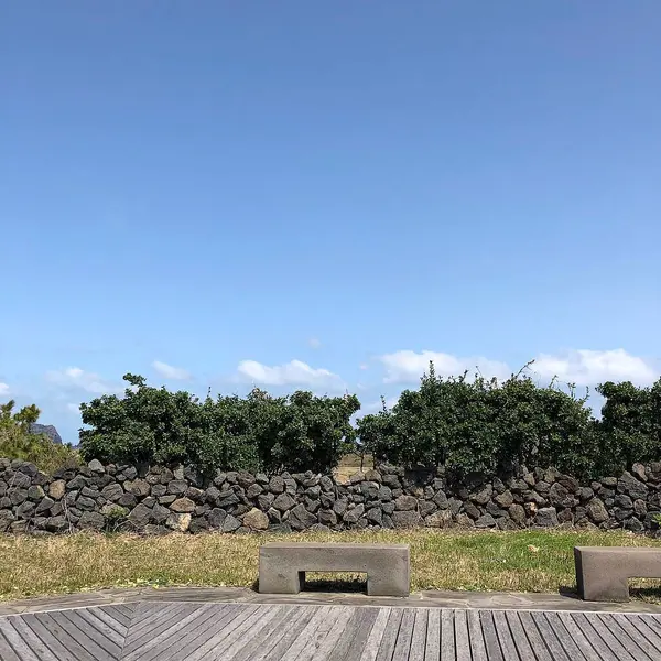 İsrail Eyaleti Adası 'nın güzel manzarası.