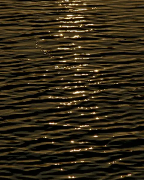 Ay ışığında su dalgaları