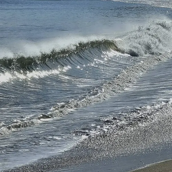 Sahilde deniz köpüğü