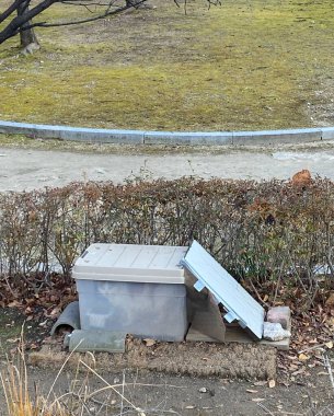 Bahçedeki paslı metal çit