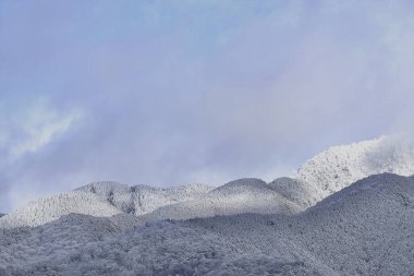 Doğanın güzel manzarası