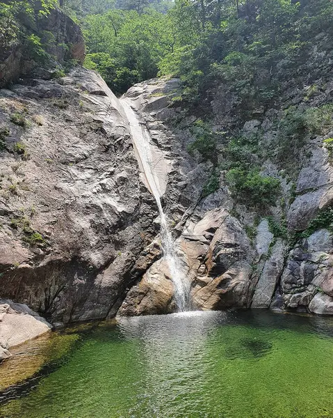 Ormanda güzel bir şelale
