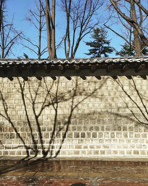 Ağaçlı tuğla duvar