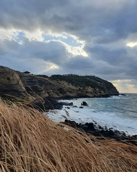 Deniz kıyısının güzel manzarası