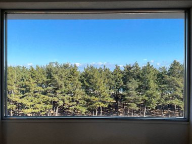 bir bardak su ile pencere