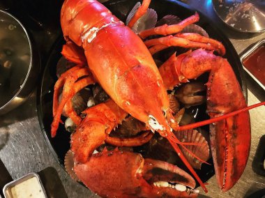 Beyaz tabakta baharatlı ve otlu ıstakoz.