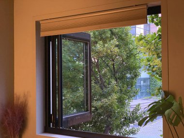 bir bardak su ile pencere