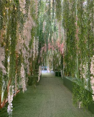 Beyaz çiçekli güzel bir bahçe.