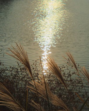 Doğanın güzel manzarası