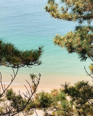 Deniz kıyısının güzel manzarası