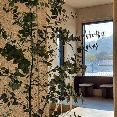 Güzel botanik fotoğrafı, doğal duvar kağıdı.