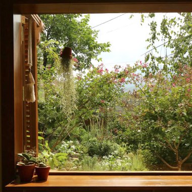 bir bardak su ile pencere