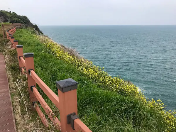 Deniz kıyısının güzel manzarası