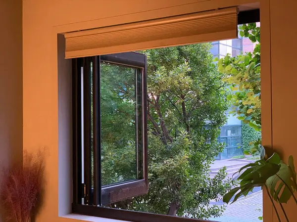 bir bardak su ile pencere