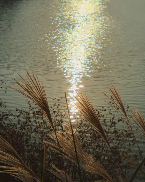 Doğanın güzel manzarası