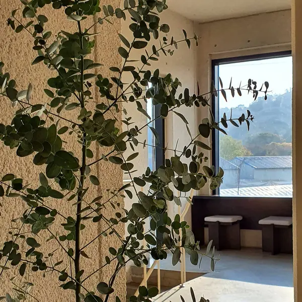 Güzel botanik fotoğrafı, doğal duvar kağıdı.