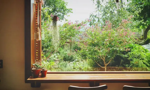 Ahşap bir masa ve bir bardak su olan pencere.