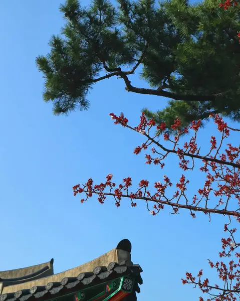 Parkın güzel manzarası