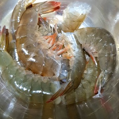 buz ile taze karides