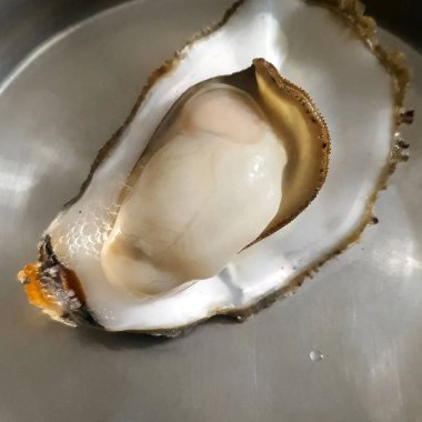 Tuzlu taze istiridye.