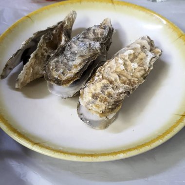 Lezzetli Asya yemeklerinin yakın görüntüsü