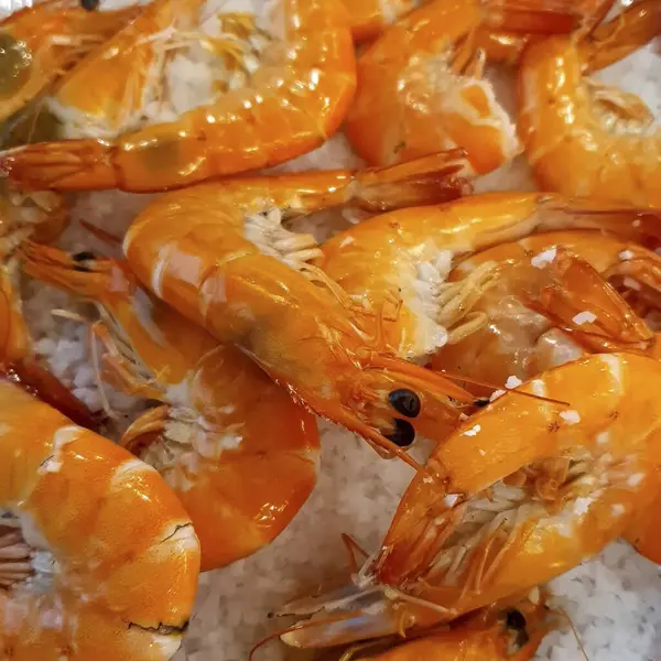 Lezzetli Asya yemeklerinin yakın görüntüsü