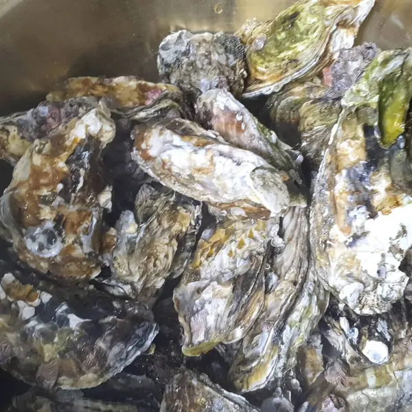 Pazarda taze deniz ürünleri.