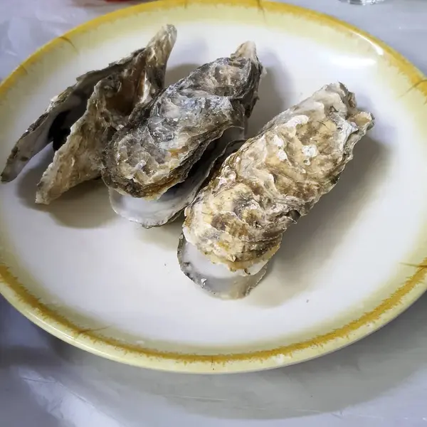 Lezzetli Asya yemeklerinin yakın görüntüsü