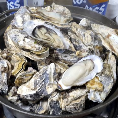 buz taze deniz ürünleri