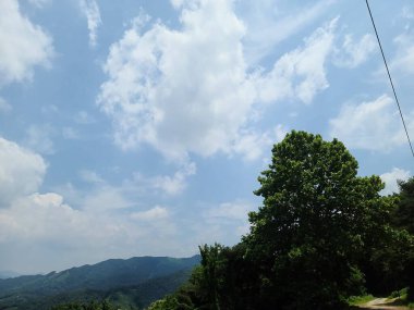 Ağacı ve mavi gökyüzü olan güzel bir manzara.