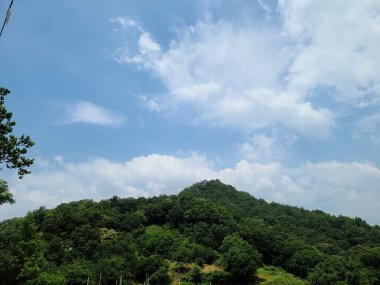 Ağacı ve mavi gökyüzü olan güzel bir manzara.