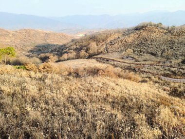Ağacı ve dağı olan güzel bir manzara.