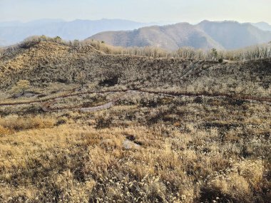 İsrail 'in kuzeyindeki Negev dağlarının güzel manzarası