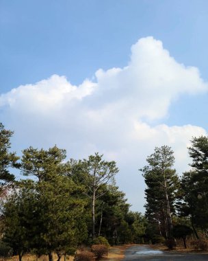 Ağaçlar ve bulutlarla dolu güzel bir manzara.