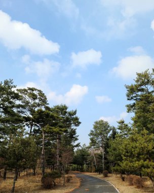 Parkın güzel manzarası