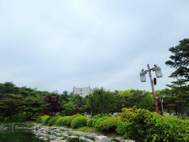 Parkın güzel manzarası