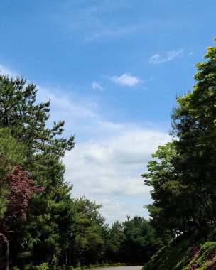 Parkın güzel manzarası