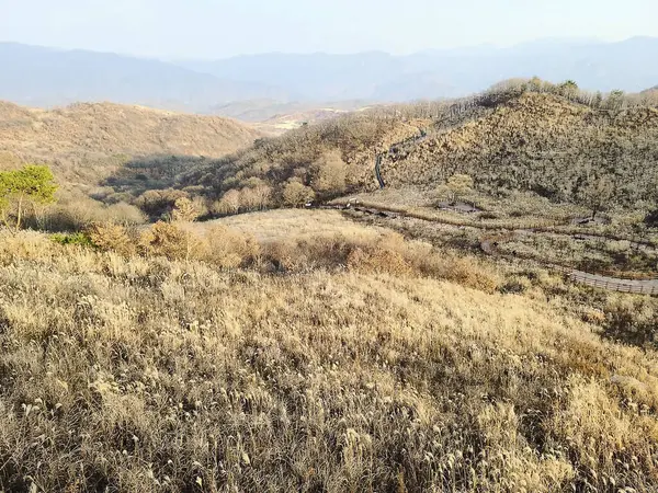 Ağacı ve dağı olan güzel bir manzara.