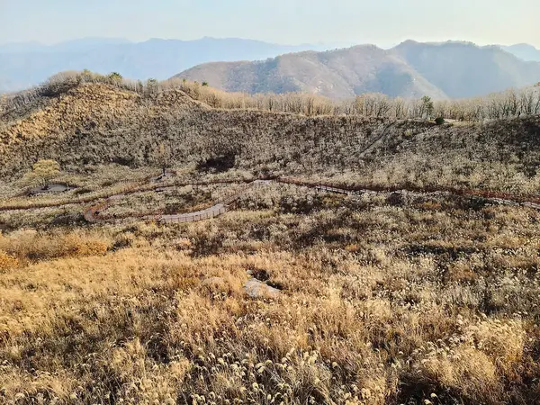 İsrail 'in kuzeyindeki Negev dağlarının güzel manzarası
