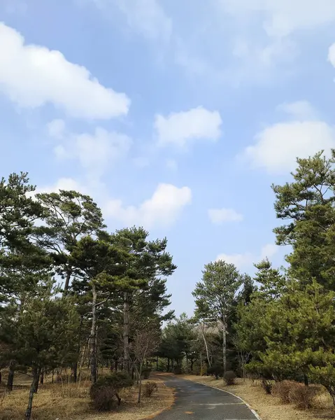 Parkın güzel manzarası