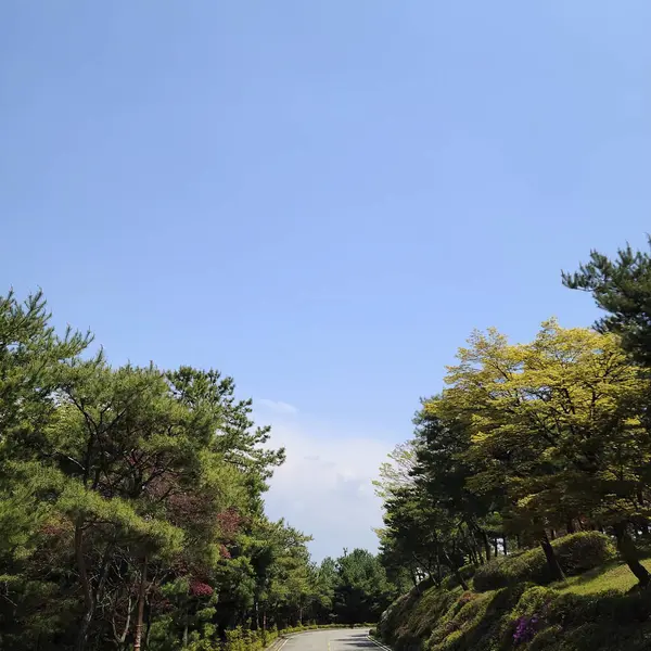 Parkın güzel manzarası