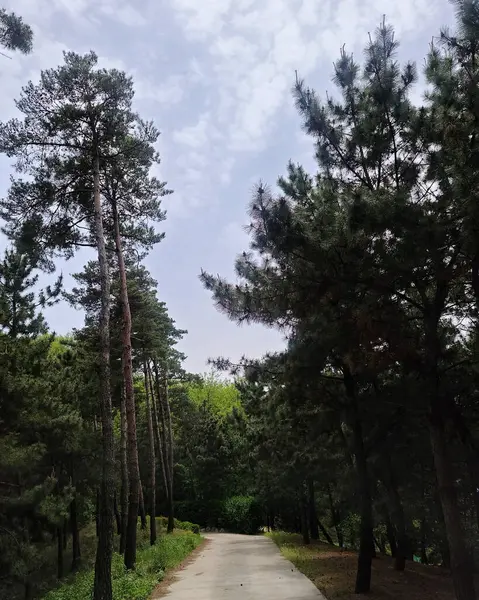 Parkın güzel manzarası