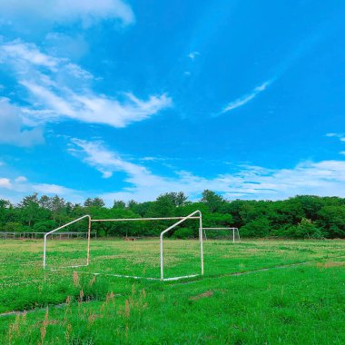 Futbol gol alanında