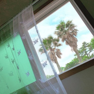 Perdeleri ve yeşil otları olan pencere.