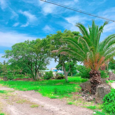 Güzel deniz manzarası