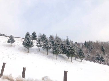 Güzel karlı kış manzarası