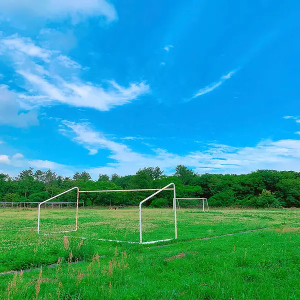 Futbol gol alanında