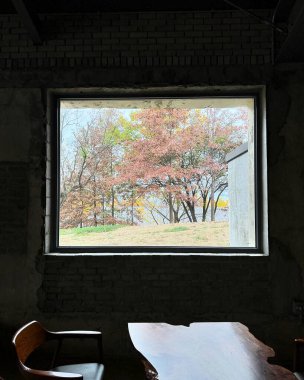 Bir ağaç ve bir bardak süt olan pencere.