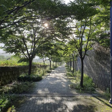 Şehir parkının güzel manzarası