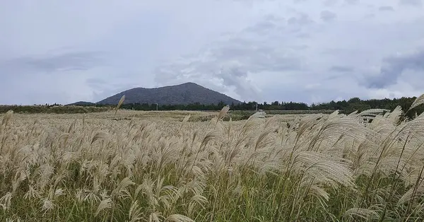 Doğa sahnesinin resimsel görüntüsü